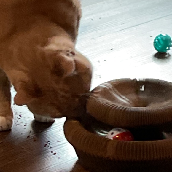 Cat Scratching Board with Bell-Ball - Picture 4 of 5